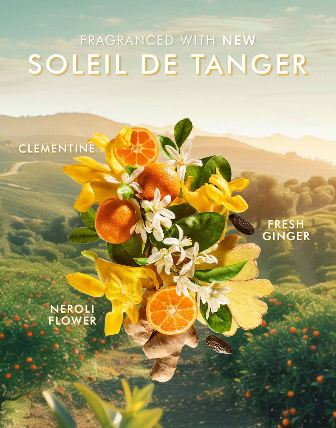 Crème pour les mains Soleil de Tanger