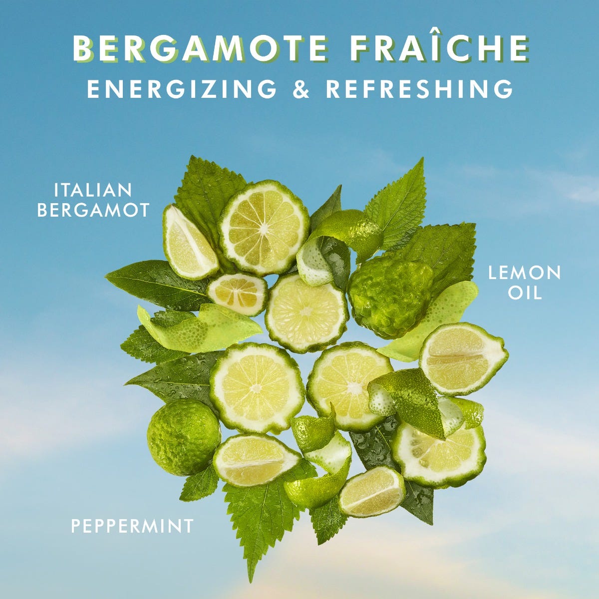 Lotion Pour Le Corps Bergamote Fraîche