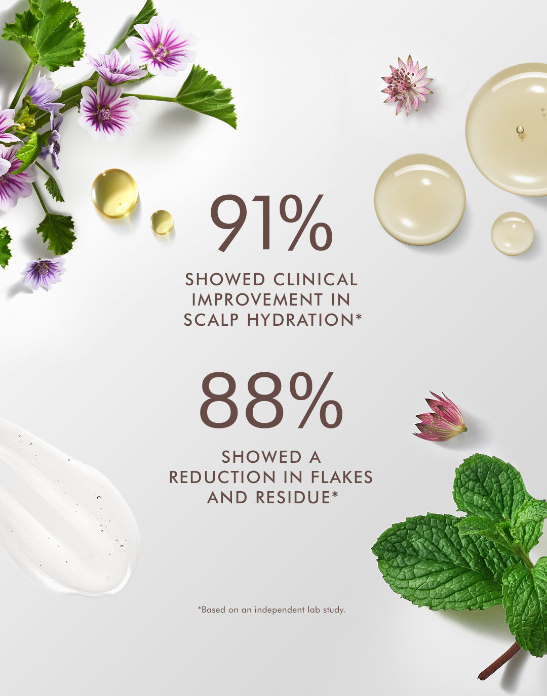 Shampooing équilibrant pour cuir chevelu sec