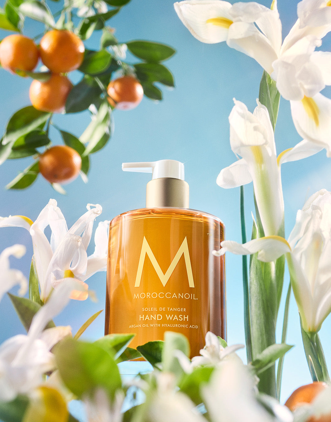 Crème pour les mains Soleil de Tanger 